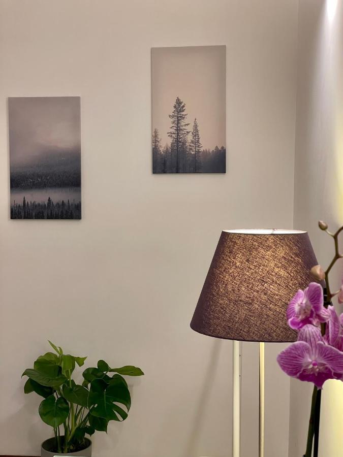 C&Y Apartments - Roma Prati - Luxury Double Studio With Kitchen Εξωτερικό φωτογραφία